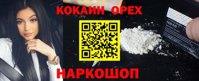 гидропоника Пенза