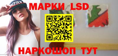 гидропоника Пенза