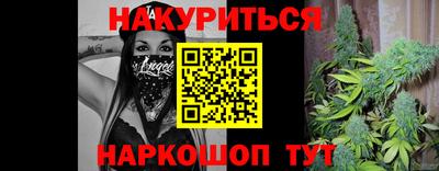 гидропоника Пенза